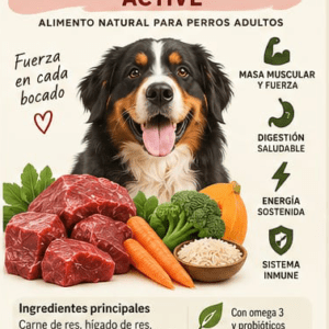 CARNE